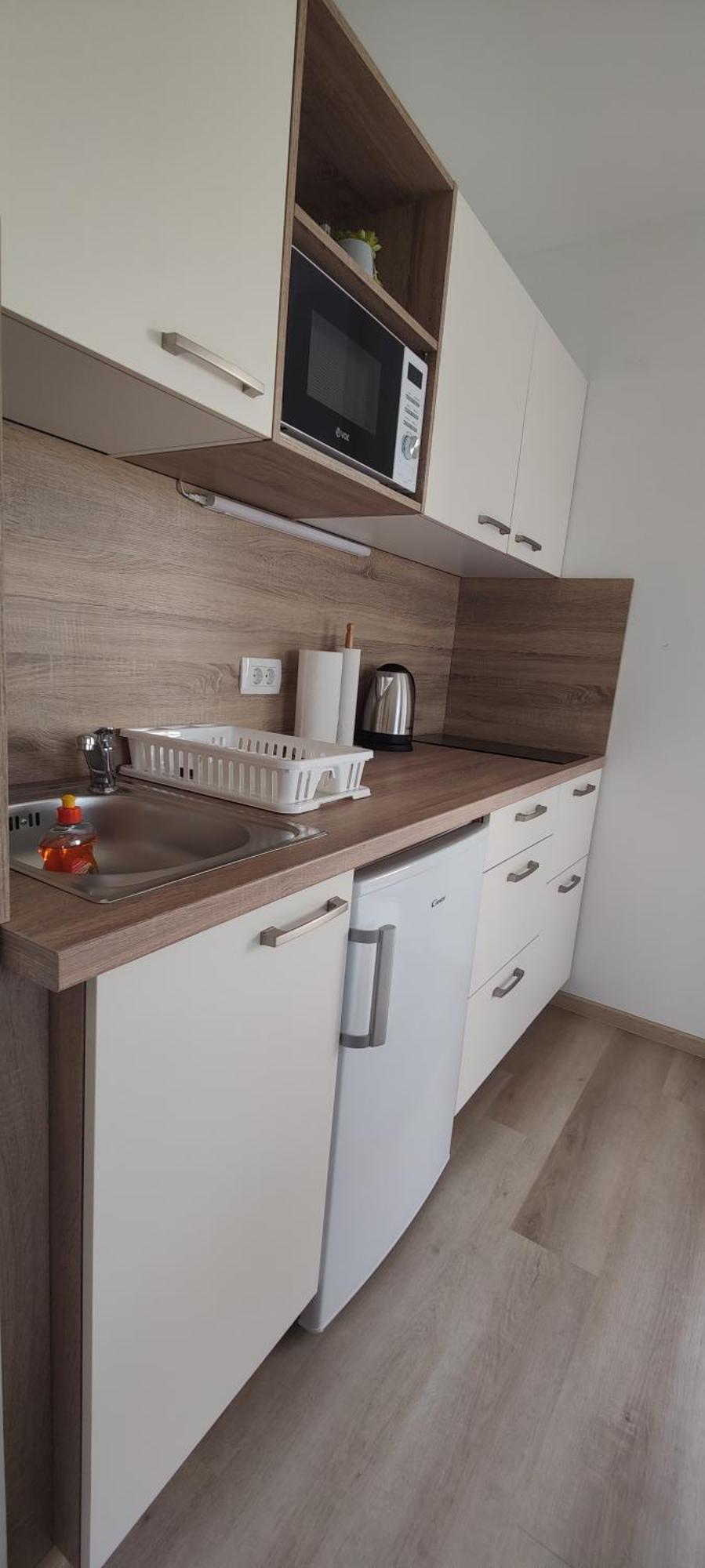 Apartment Pavla Zgornje Gorje